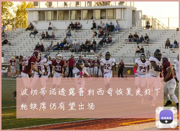 波切蒂诺透露普利西奇恢复良好下轮缺席仍有望出场